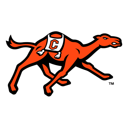 Team Logo