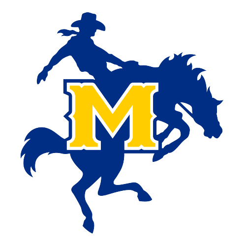 Team Logo